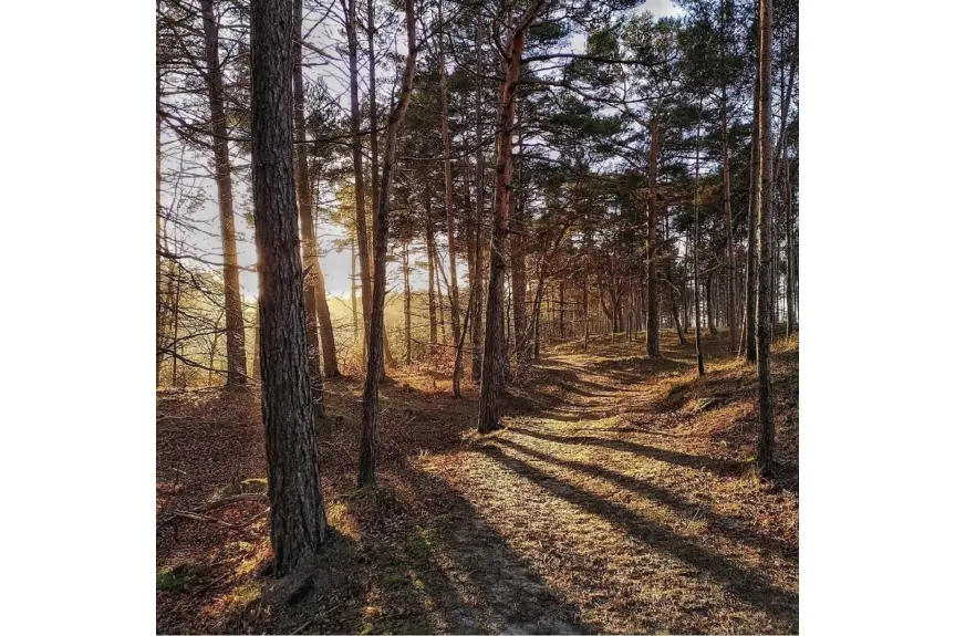 koszaliński, Mielno, APARTAMENT MIELNO