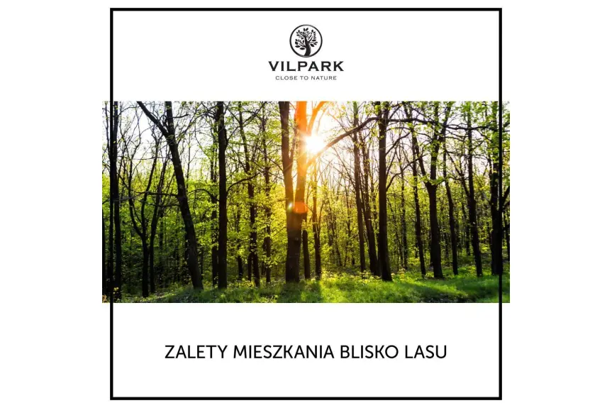 zachodniopomorskie, kołobrzeski, Kołobrzeg, Działka budowlana w linii brzegowej lasu